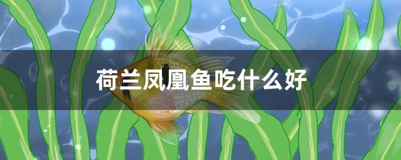 奧里諾三間魚適宜水溫范圍