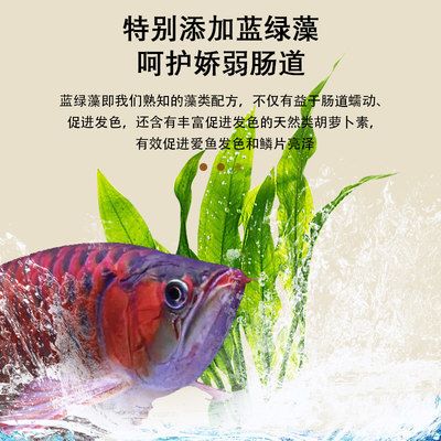 龍魚發(fā)色飼料配方比例是多少，自制龍魚飼料的配方