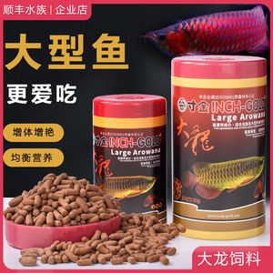 寸金龍魚飼料誘食性研究，寸金龍魚飼料用戶評價匯總寸金與海豚龍魚飼料對比