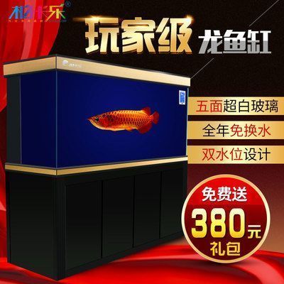 龍魚的水位，飼養(yǎng)龍魚時(shí)，水位的高度是多少，如何防止龍魚跳缸 龍魚百科 第3張