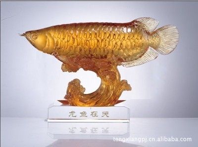 深圳龍魚批發(fā)，深圳龍魚批發(fā)市場 龍魚百科 第4張