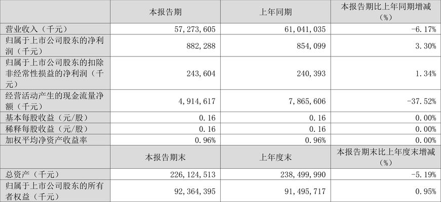 金龍魚凈利潤率，金龍魚2024年上半年凈利潤率分析 龍魚百科 第5張