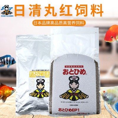 黑魔神雷龍魚最大能長多大，黑魔神雷龍魚最大能長到多少厘米？ 水族問答