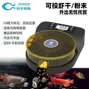 龍魚魚缸推薦品種有哪些名字，2024年頂級龍魚缸品牌推薦 魚缸百科 第4張