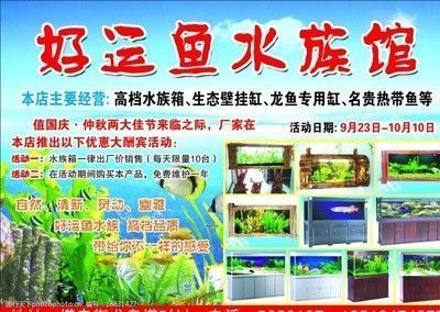 龍魚魚缸推薦品種有哪些名字，2024年頂級龍魚缸品牌推薦 魚缸百科 第5張