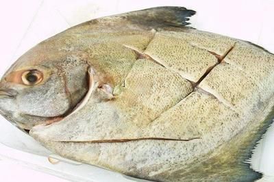 鯧魚營養(yǎng)價值對比分析，烹飪方法推薦，鯧魚與其他魚類價格對比 觀賞魚市場（混養(yǎng)魚） 第5張