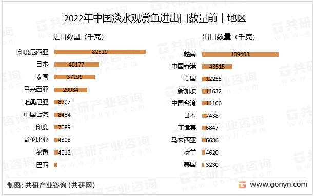 觀賞魚市場趨勢分析，2019年中國觀賞魚市場前景分析及前景預(yù)測 觀賞魚市場（混養(yǎng)魚） 第3張