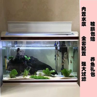 如何選擇適合BD魟魚的魚缸，bd魟魚適合bd魟魚的魚缸需要考慮多個因素 魟魚百科 第4張