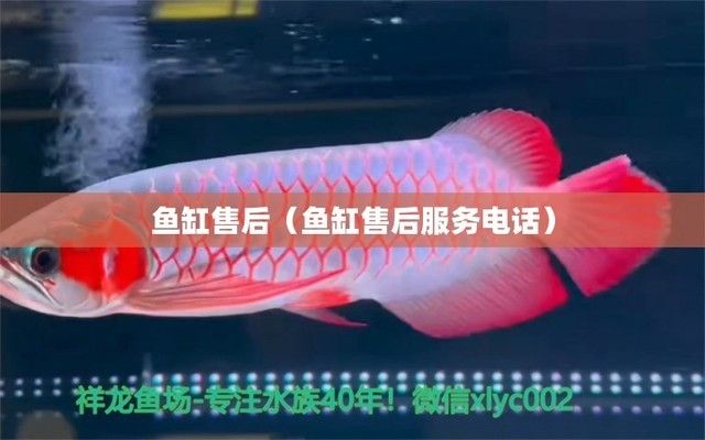 歐柏龍魚缸售后服務(wù)電話地址，上海歐柏龍魚缸售后服務(wù)電話 魚缸百科 第4張