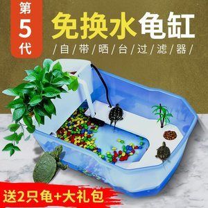 六角恐龍魚缸怎么布置是別墅，六角恐龍魚缸布置建議