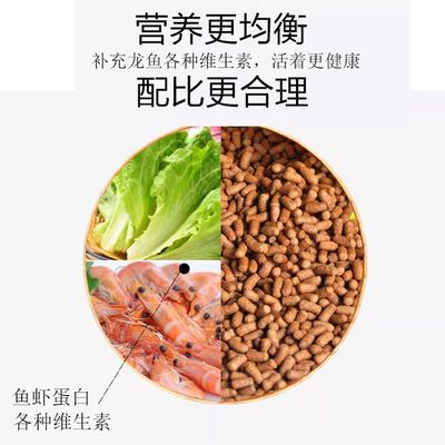 金龍魚飼料蛋白質(zhì)來源比較，金龍魚飼料中蛋白質(zhì)來源主要包括動物性和植物性蛋白源 觀賞魚市場（混養(yǎng)魚） 第4張