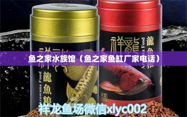 斑馬鴨嘴魚苗飼料選擇指南，斑馬鴨嘴魚苗飼料品牌推薦 觀賞魚市場（混養(yǎng)魚） 第2張