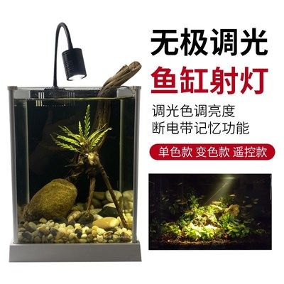 雷龍魚缸燈，雷龍魚缸燈光布局技巧