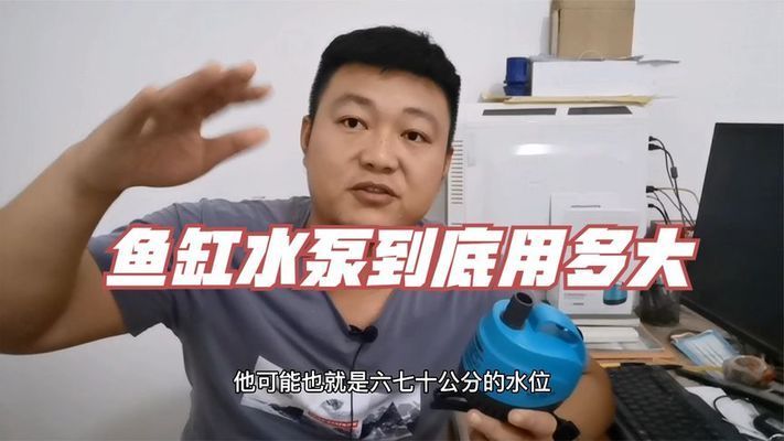 龍魚缸水泵選水體的幾倍，如何選擇龍魚缸水泵 魚缸百科 第2張