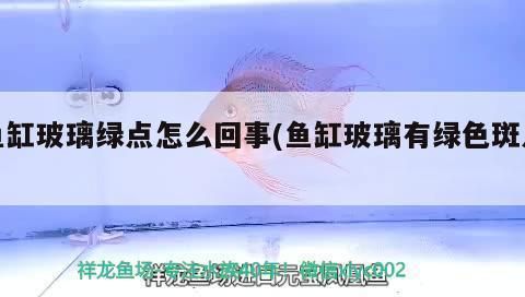 愛唯希魚缸常見問題處理，愛唯希魚缸出現(xiàn)漏水問題，魚缸水質(zhì)維護周期表如何選擇 觀賞魚市場（混養(yǎng)魚） 第5張