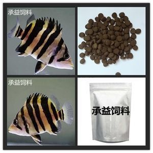 泰國虎魚幼魚飼料自制方法，泰國虎魚幼魚飼料的自制方法泰國虎魚幼魚飼料成本分析