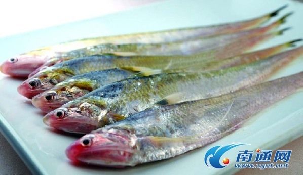 刀魚的生態(tài)現(xiàn)狀與保護(hù)措施，刀魚生態(tài)現(xiàn)狀正在逐步改善 觀賞魚市場（混養(yǎng)魚） 第3張