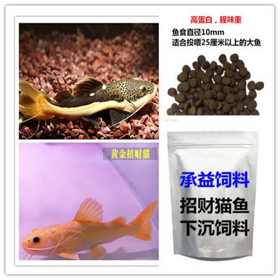 承益水產(chǎn)飼料用戶評(píng)價(jià)詳情，一眉道人魚飼料價(jià)格對(duì)比泰國(guó)虎魚飼料用戶反饋匯總 虎魚百科 第2張