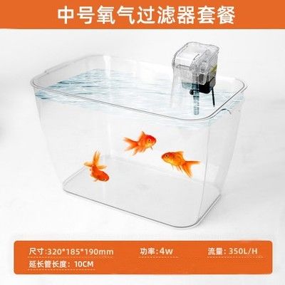 六角恐龍魚魚缸要多大尺寸，六角恐龍魚的魚缸尺寸 魚缸百科 第3張