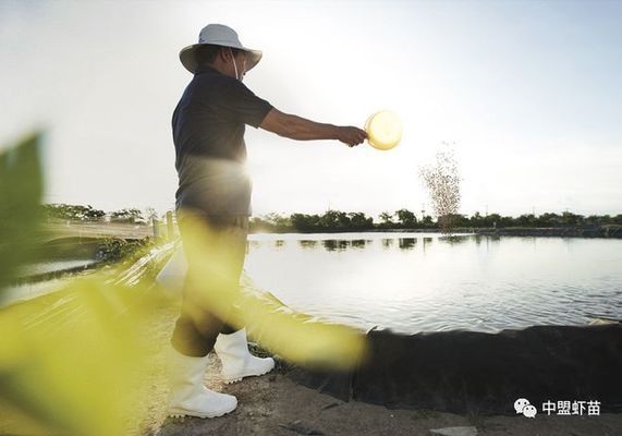 海象魚繁殖期飼料中磷的作用，海象魚繁殖期飼料中的磷含量對魚類生長性能的影響 觀賞魚市場（混養(yǎng)魚） 第2張