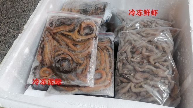 巴西亞魚苗生長期飼料的選擇標(biāo)準(zhǔn)，巴西亞魚苗在生長期對飼料的選擇有著特定標(biāo)準(zhǔn)的標(biāo)準(zhǔn) 觀賞魚市場（混養(yǎng)魚） 第5張