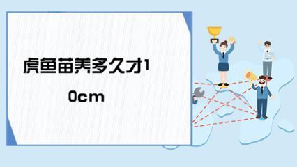 虎魚苗營養(yǎng)均衡食譜設計，虎魚苗的營養(yǎng)均衡食譜設計 虎魚百科 第1張