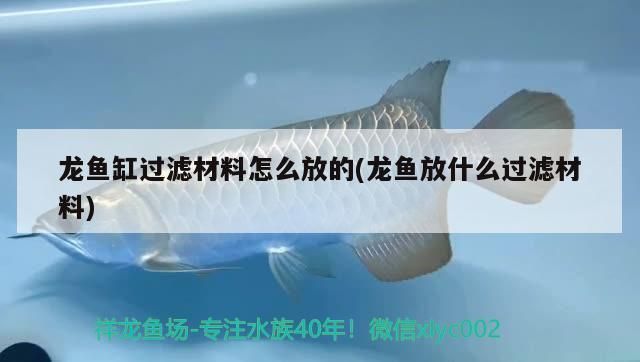 龍魚缸過濾材料怎么放進去，龍魚缸水流方向設計技巧和注意事項和注意事項 魚缸百科 第4張