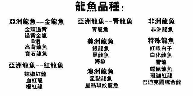 長春龍魚手術，長春龍魚手術前需要做哪些準備工作、手術后護理措施