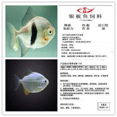 粗線銀板魚苗飼料品牌推薦，粗線銀板魚苗飼料品牌：永紅魚糧yonho銷量領先原因 觀賞魚市場（混養(yǎng)魚） 第4張