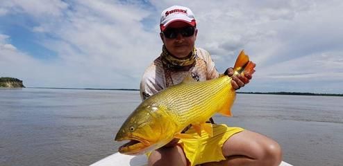 黃金河虎魚，黃金河虎魚與其他魚類混養(yǎng)技巧 觀賞魚市場（混養(yǎng)魚） 第5張