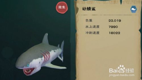 鯊魚飼料選擇與搭配，《創(chuàng)造與魔法》鯊魚飼料選擇與搭配方案，鯊魚飼料選擇與搭配方案 虎魚百科 第4張