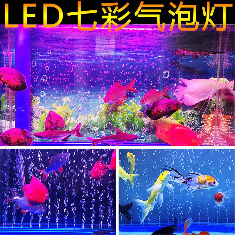 水族燈最佳照明時間設置