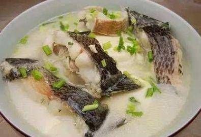 黑云魚混養(yǎng)食物營養(yǎng)搭配，黑云魚混養(yǎng)常見疾病預防黑云魚食物營養(yǎng)均衡指南 虎魚百科 第4張