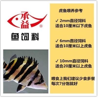 泰國(guó)虎魚繁殖飼料選擇指南，關(guān)于泰國(guó)虎魚繁殖飼料選擇指南 虎魚百科 第4張