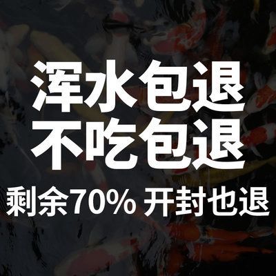 潛水艇魚專用飼料選購技巧，潛水艇魚專用飼料的選購技巧 觀賞魚市場（混養(yǎng)魚） 第1張