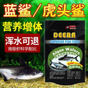 成吉思汗鯊魚飼料品牌推薦，成吉思汗鯊魚飼料價格對比成吉思汗鯊魚飼料價格對比 觀賞魚市場（混養(yǎng)魚） 第5張