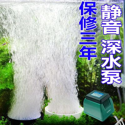 龍魚氧氣泵用一直開么，龍魚氧氣泵是否需要24小時開啟 龍魚百科 第3張