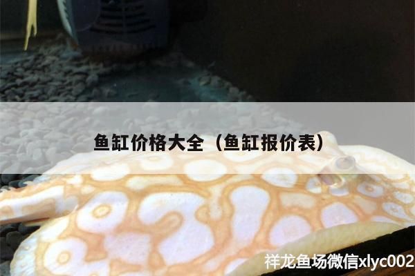 龍魚魚缸過濾盒哪里買，龍魚魚缸過濾盒如何選擇 魚缸百科 第3張