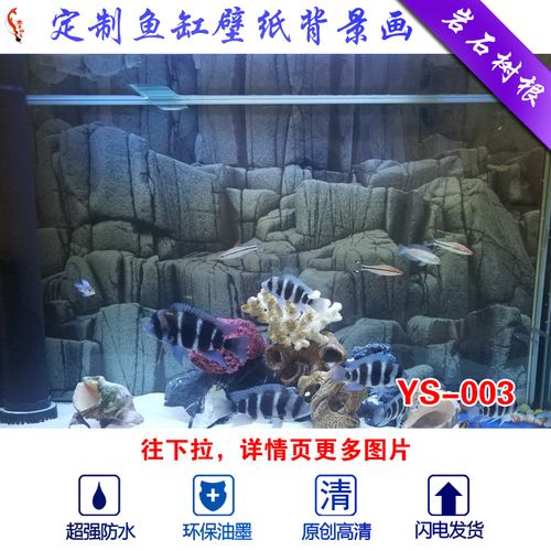 龍魚缸怎么改造成造景魚缸？ 魚缸百科 第5張