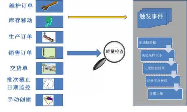 金龍魚多久發(fā)色完成正常，關于金龍魚發(fā)色的疑問 水族問答