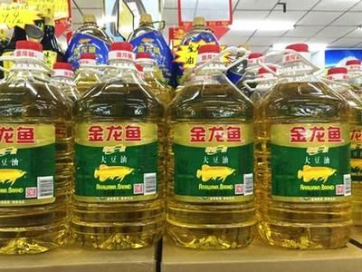 金龍魚幾個(gè)品種區(qū)別在哪，金龍魚品種及種區(qū)別 龍魚百科 第3張