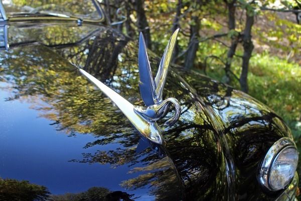 龍魚魚缸廠家排行榜及價格表，龍魚魚缸廠家排行榜 魚缸百科 第2張