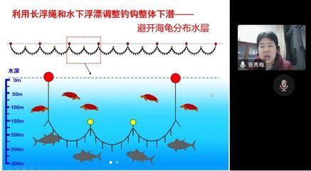 大日玉鯖魚繁殖缸水草選擇，大日玉鯖魚繁殖缸水草選擇指南 觀賞魚市場（混養(yǎng)魚） 第3張