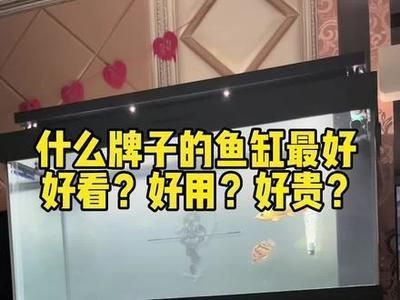 什么牌子龍魚缸性價比高又好用，性價比高且好用的龍魚缸品牌