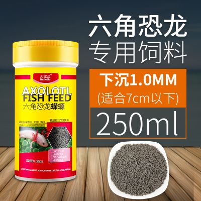 六角恐龍魚飼料怎么喂，六角恐龍魚飼料及牌推薦 龍魚百科 第2張