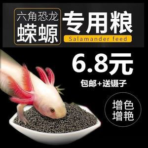 六角恐龍魚飼料怎么喂，六角恐龍魚飼料及牌推薦 龍魚百科 第4張