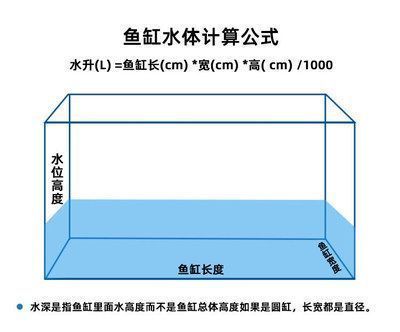 龍魚(yú)水位多高最好，龍魚(yú)的理想水位在30-50厘米之間 龍魚(yú)百科 第1張