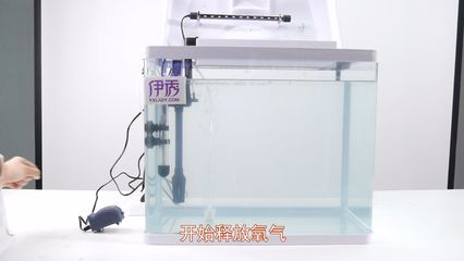 魚缸氧氣泵不出氧氣視頻講解，如何正確安裝氧氣泵氣管堵塞清理技巧魚缸氧氣泵維護(hù)周期