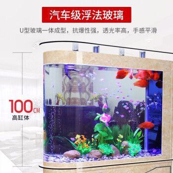 子彈頭魚缸哪個牌子好？，子彈頭魚缸價格對比 魚缸百科 第5張