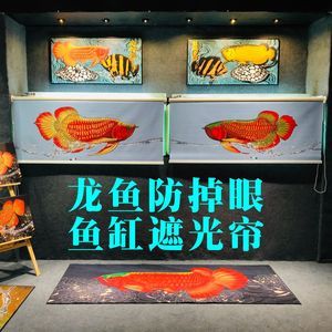 龍魚可以用藥水上色嗎，如何給龍魚上色 龍魚百科 第4張